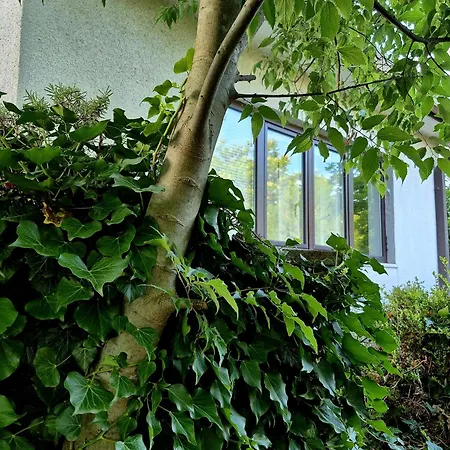 Casa Morlacca * マトゥリ