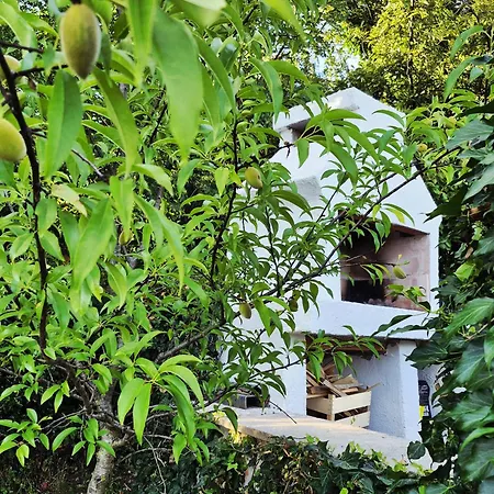 Casa Morlacca マトゥリ